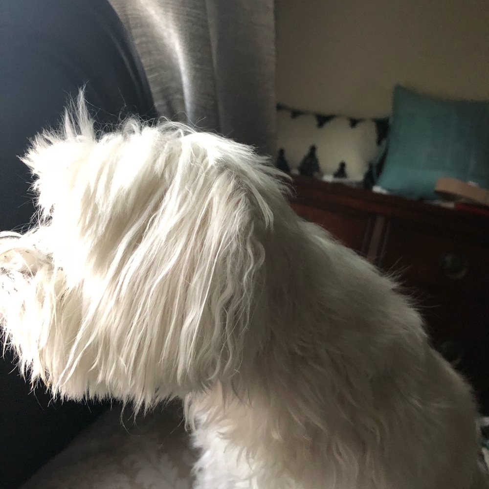 Meet your Posher, Audrienne